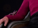 conspiracy_hd_528.jpg